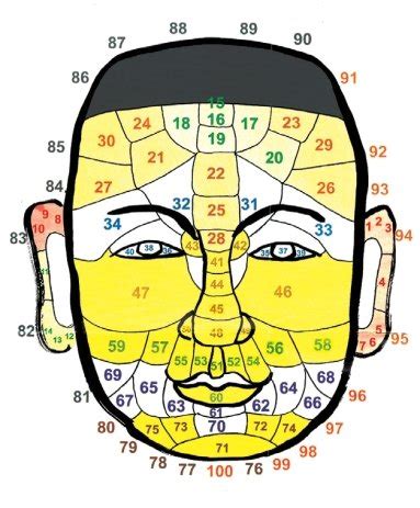 摸骨算命原理|【摸骨算命原理】骨相學x摸骨算命：摸骨也能看前世。